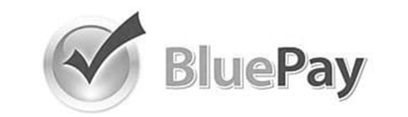 Blue Play logo
